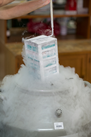 Close up of gloved hand retrieving boxes from cryogenic freezer device in laboratoryの写真素材