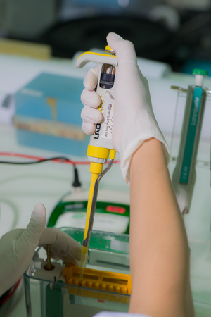 Lab technician using a special syringe to collect samples from holderの写真素材