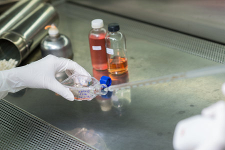 Researcher transfers testing fluid in biosafety cabinetの写真素材