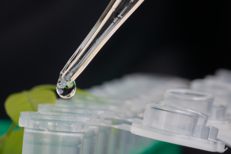 Close-up of micro centrifuge tube in front of green leafの写真素材