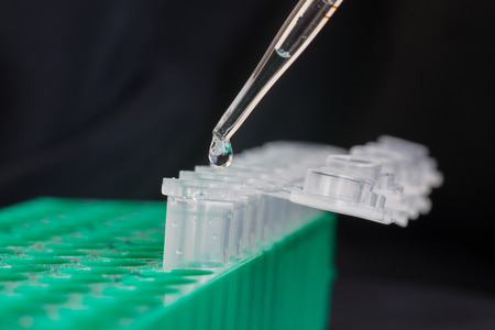 Close-up of adding sample into micro centrifuge tube in green rackの写真素材