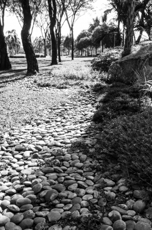 Black and White Park, Lonely Pathway in a Tranquil Sceneの写真素材