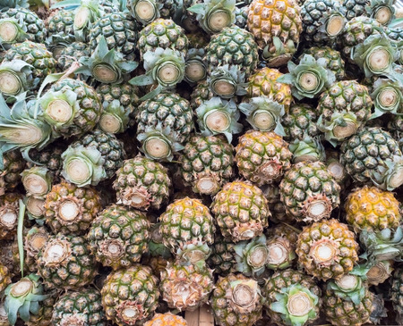 Pineapple for sale in market.の写真素材