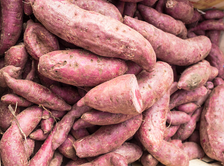 Fresh yam for sale on market.の写真素材