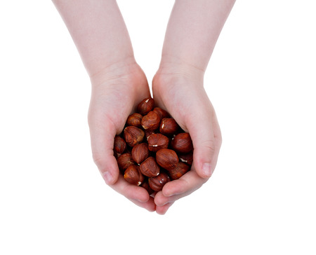 Hazel brown fruit in children's handsの写真素材