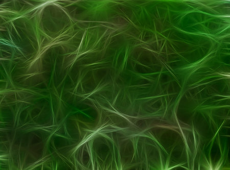 Green background with abstract texture with a pattern of fractal linesの写真素材