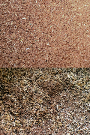 The texture of the brown tone of the fine grinding of the medical oak barkの写真素材