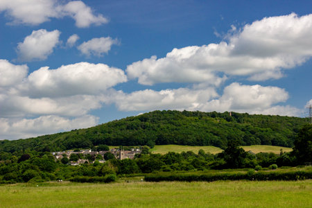 Greenfield and blue sky,summer landscape