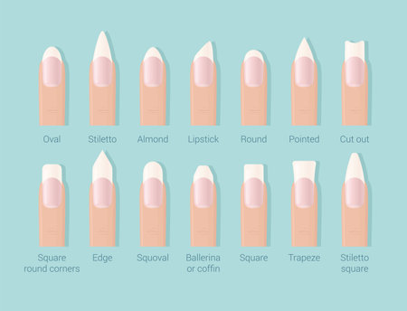 Different shapes of nails. Professional female manicure. Nails trends. Vector illustration.のイラスト素材