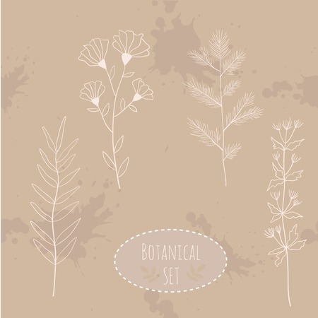 Botanical flowers set elements. Hand drawn illustrationのイラスト素材