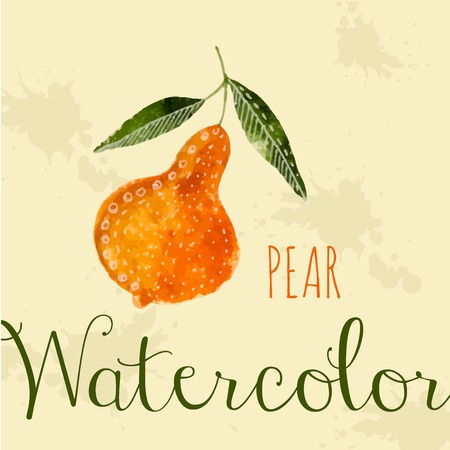 Watercolor pear hand drawn style card white inkのイラスト素材