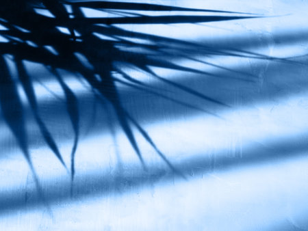 Blue gradient background with shadow from flowers.