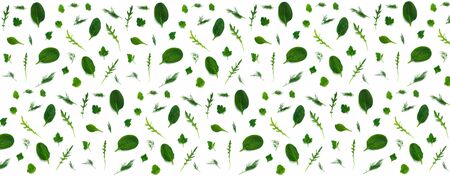 Green fresh herbs leaves food on white background. Copy space. Healthy lifestyle.の写真素材