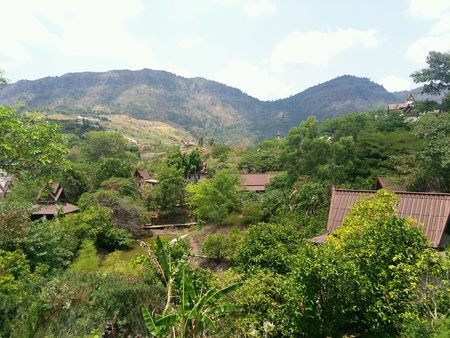 forest mountainの素材