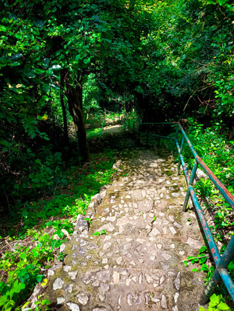 Stone stairs in the forest, nature background. Path in the forest.の写真素材