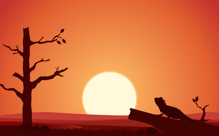 Vector flat landscape view with the night of desert. Illustration with the sunset view in the desert. or the website backgroundのイラスト素材