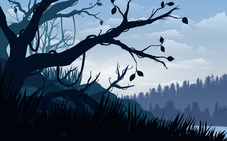 Vector illustration, Landscape view tropical forest the sky, clouds,  mountain peaks, and deep jungle. for the website backgroundのイラスト素材