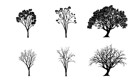 Vector set. tree silhouettes on white background. illustration.のイラスト素材