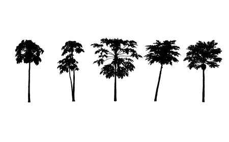 Vector set. papayas trees silhouettes on white background. illustration.のイラスト素材