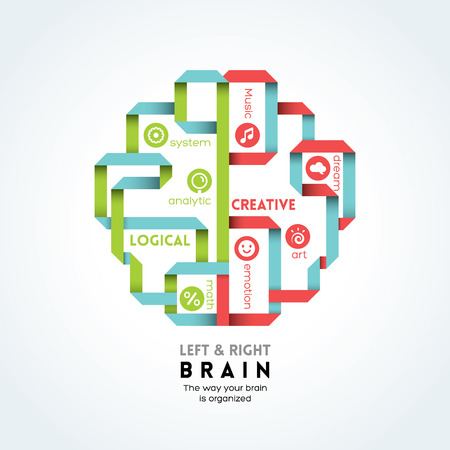 left and right brain function vector illustrationのイラスト素材