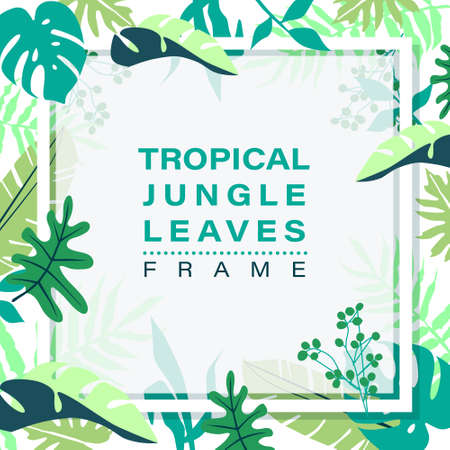 Frame of tropical jungle leaves on white background. vector illustration.のイラスト素材