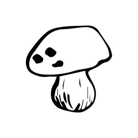 Mushroom Drawing in Simple Black and White Style with Copy Space. Vector illustration for design, postcard, patterns, wrappersのイラスト素材