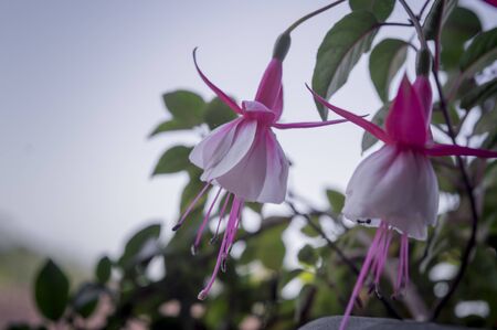 stone walls painted in bright colors, consisting of blue, purple, yellow and white as a dividing lineの写真素材
