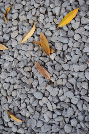 small pebble photo, great for backgroundの写真素材