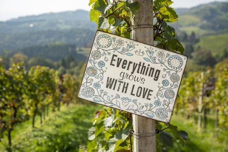 Close up of ripe red grapes with inscription - Everything grows with love, ready for autumn harvest in south Styria-Austria.の写真素材