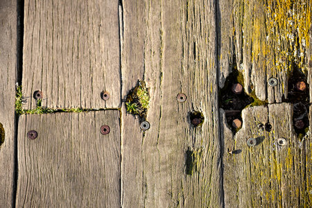 Brown weathered boardwalk planks background close-up.