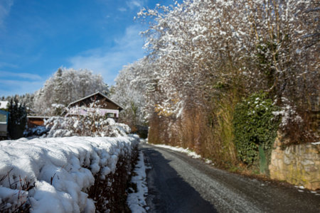 View of a hedge in white snow on a cloudy winter day. Shallow Depth of Field.の写真素材