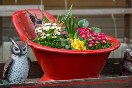 Outdoor flower pots for small garden, patio or terrace, close up.