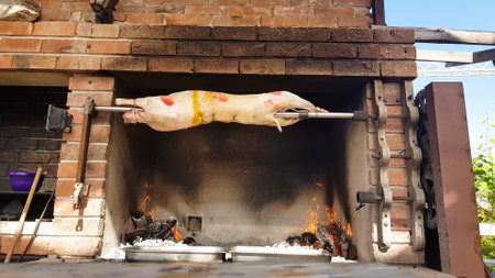 Spit Roasted Lambs, traditional way of roasting lambs on a rotisserie spit in Bulgaria. Cheverme..の写真素材