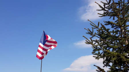 American Flag blowing in the wind with a blue sky background. USA American Flag. Waving United states of America famous flag in front of blue sky and green pine. Memorial Day - American concept.の写真素材