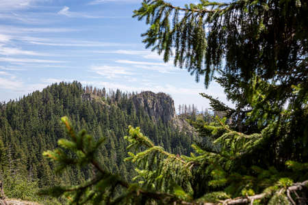 View on coniferous woods and Rocky mountains in Bulgaria.の写真素材