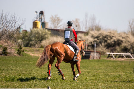 An adult male horse rider enjoys a sunny day in the countryside in Bulgaria.