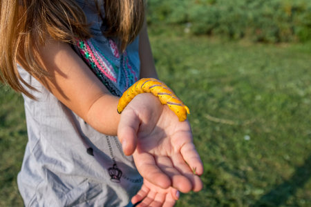 Yellow caterpillar is crawling on a girls hand.