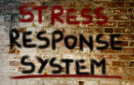 Stress Response System Conceptの写真素材