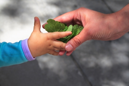 Mother and daughter with flowers while walking alongの写真素材