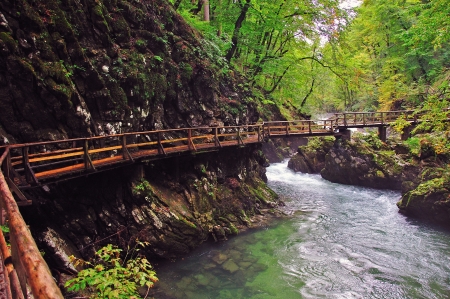 Bridge in Vintgar canyon, Sloveniaの写真素材