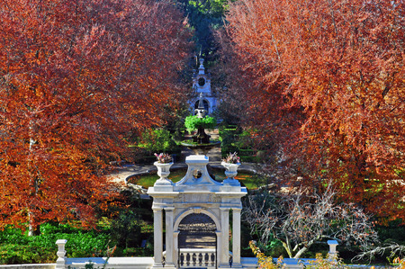 Multicolor trees in city parkのeditorial素材