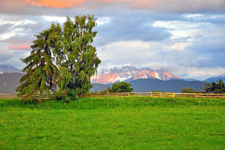 Garden with tree in Dolomites, Italyの写真素材