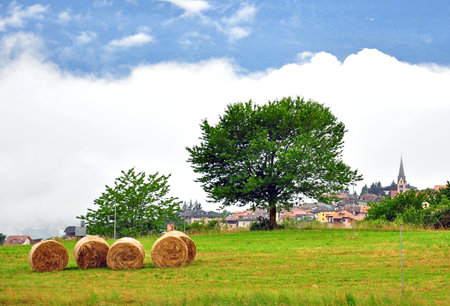 Rural landscape in Trentino Alto, Italy