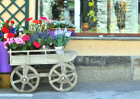 Flowers shop decorationの写真素材