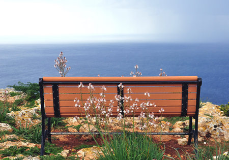 Bench by the sea