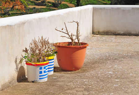 Colorful flowerpots with the national flag of Greeceの写真素材