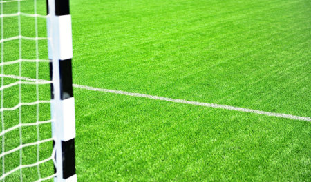 Football arena with green grass field  background
