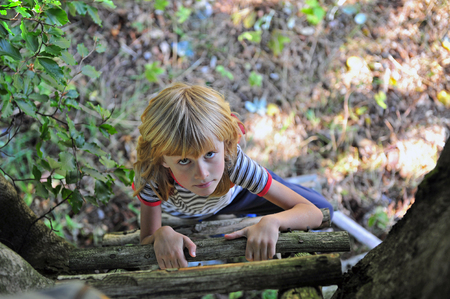 Little boy climbing on the tree by wooden stairs, top viewの写真素材