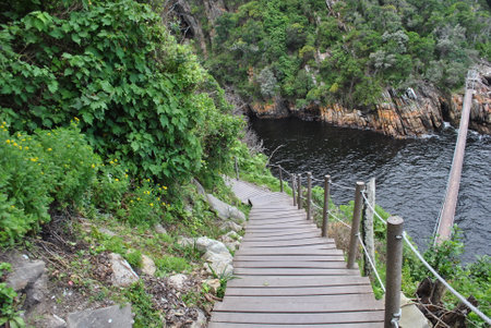 SceniÑ view of Atlantic ocean and national park of Western cape, South Africaの写真素材