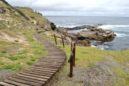 Natural park, Wastern Cape, South Africaの写真素材